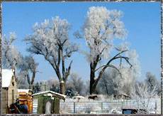 Frosty Winter Morning